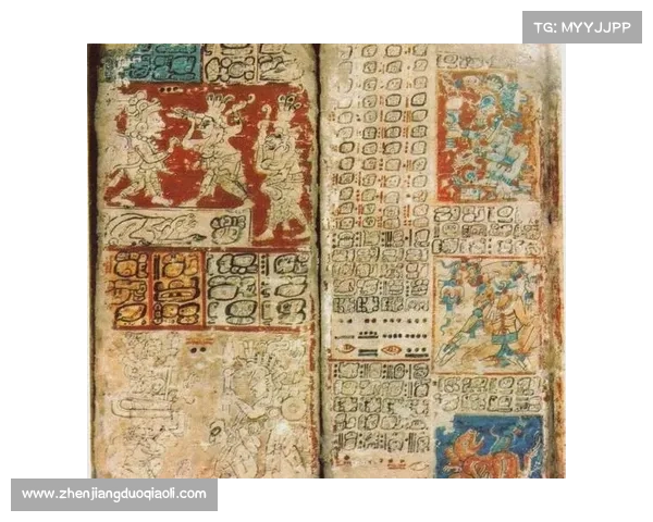 巴舒亚伊语言的多样性及其背后的文化传承与社会影响探索